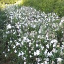 초입농장 이미지