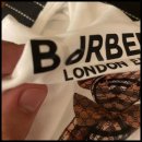 베베펫 천안 강아지분양 고양이분양 이미지