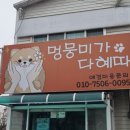 멍뭉미가다혜따
