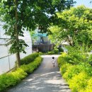 B15-1 | 수도권근교 가평 잣향기푸른숲 캠핑장 B15사이트(동영상有) 아이와 반려견 동반 캠핑기록