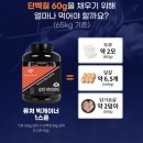 액티브퓨처핏