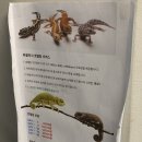 파블박사 이미지