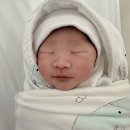 삼성미즈병원 | [아산] 삼성미즈병원 제왕절개 5박6일 후기 1탄~!
