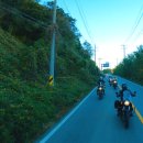 로얄다방 이미지