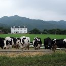 황혼농장 이미지