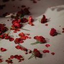 The Boss Baby 2 | Noah Davis - The Big Boss Song 가사/해석/번역/노래추천