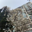 빈스테이블강남