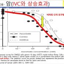 보다 효과적으로 비타민 C 주사를 맞는 방법 이미지