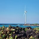 한림읍 월령리마을 | 제주도 월령리 선인장 군락지, 월령포구 근처 이색적인 산책로 🌵