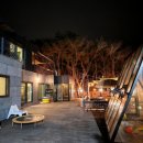 라파미 D 이미지