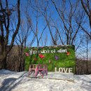 영인산산림박물관 | [충남 아산] 영인산 산림박물관 - 영인산자연휴양림과 함께 가볼만한곳