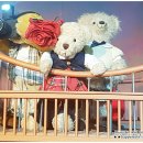 테디베어뮤지엄 이미지