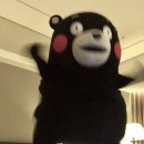 우당탕탕 사고뭉치 이미지