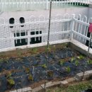 기흥농장 이미지