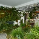 저스트인 이미지