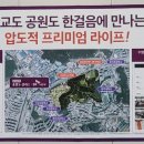 S-클래스 체육관 이미지