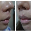 날샘 바이오 이미지