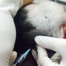 모현동물병원 이미지