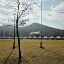 인천대공원(야외음악당 옆) 이미지