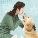모아 동물병원 이미지