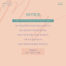 마이민
