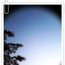 달빛연가 이미지