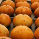 세화14길 이미지