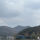 기린봉흑염소 네이버블로그