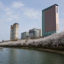 GS25석촌호수 이미지