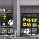 우신펫샵 이미지