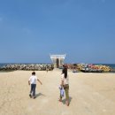 경포블루비치펜션 이미지