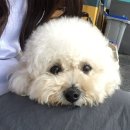 펫츠런파크 이미지