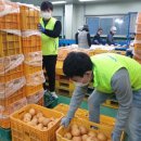 음봉농협 산지유통센터 이미지