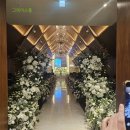 소도몰판교 | [웨딩홀] 💍 W 스퀘어 컨벤션 판교 웨딩홀 계약했어요!! (강남/분당 투어 비교 후..)