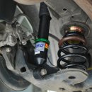 팀 크루즈 이미지