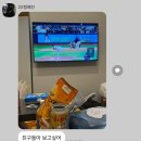 키키나와