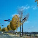 공도읍행정복지센터 소회의실 이미지