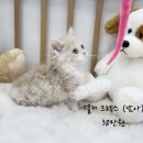 잠실마대 이미지