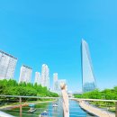 센트럴파크국화 | 인천 송도 갈만한곳 센트럴파크 잔디밭 도시락 피크닉 놀거리 주차 6월 가족 나들이 커플 데이트 공원 산책