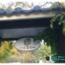 자연애쭈꾸미 이미지