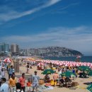 해운대해수욕장 이미지