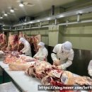 주)으뜸 이미지