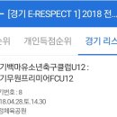 운정스포츠센터 축구장 이미지