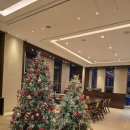 포포인츠바이쉐라톤호텔명동 | 포포인츠 바이 쉐라톤 조선 서울역 호텔 후기!♡