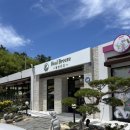 [진주 반려견 카페] 초전동 반려견 동반 카페 추천...반려견 용품 야외운동장 솔직 후기 | 주차 정보