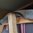 파라디아1차 이미지