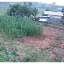 은석농장 이미지