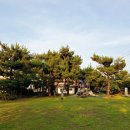 샘물타운 버스정류장 | 7살,3살 아이와 제주도 한달살기 시작(함덕해수욕장 근처 제주 한달살이 숙소)
