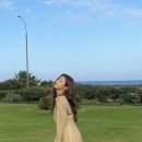 디어젤리 이미지