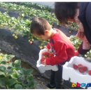 대흥초 병설유치원 이미지